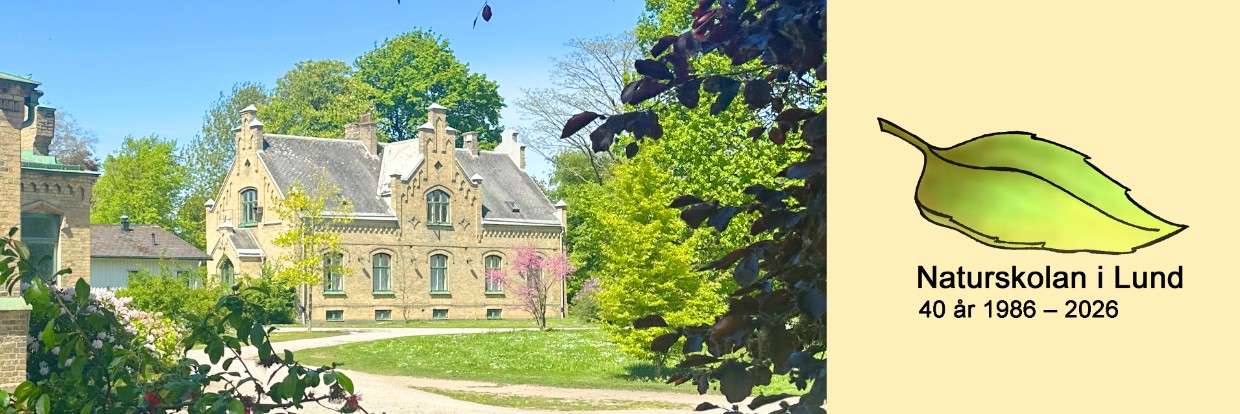 Gult tegelhus i Observatorieparken i vackert vårväder.
