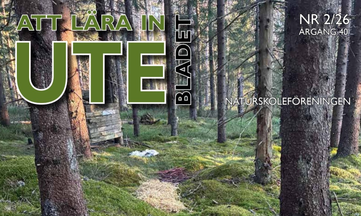 En skogsmiljö och texten att lära in ute bladet