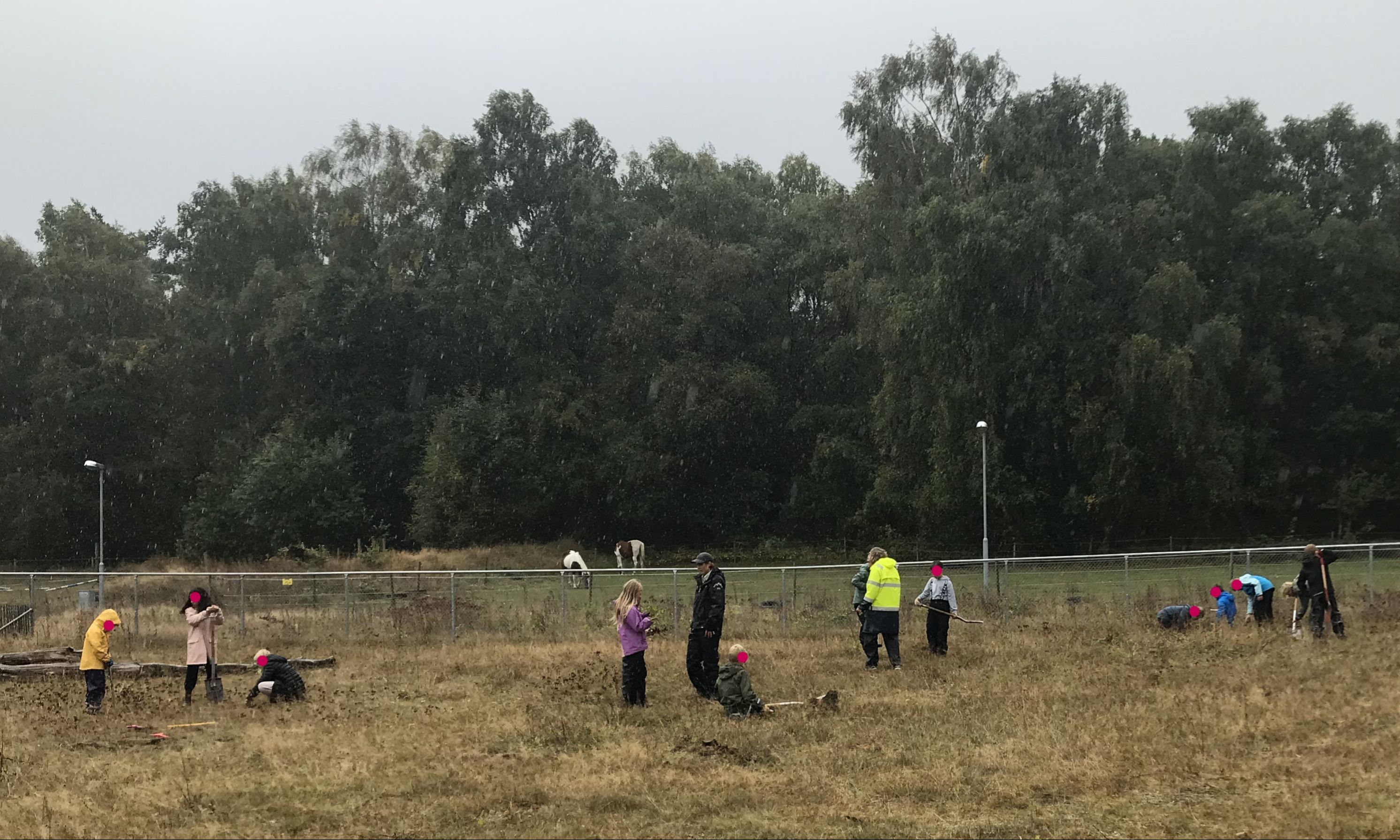 Barn står på en äng och gräver