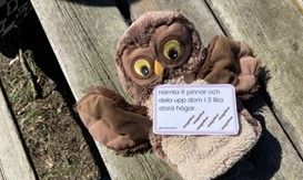 En låda med undervisningsmaterial i en grön miljö.