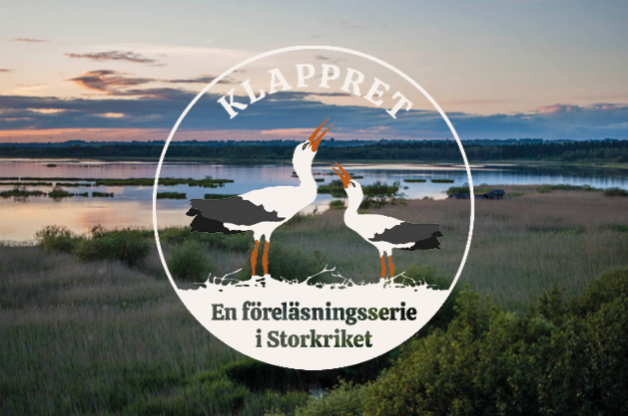 Fgel på kvist