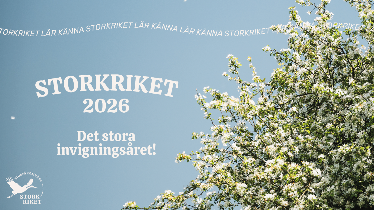 Två personer som går vid byggnader och vita blommor.