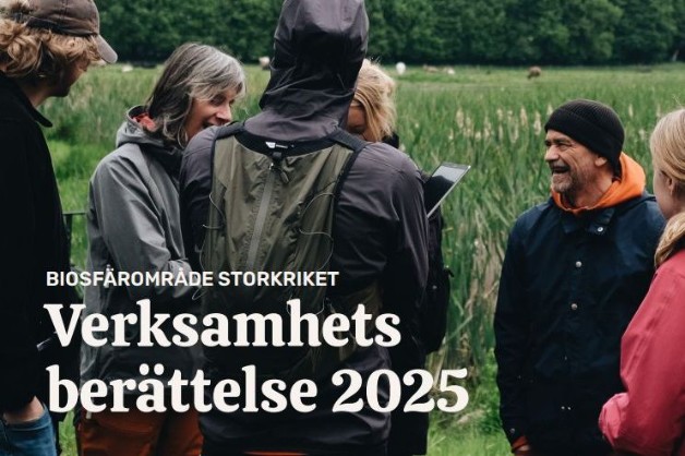 Hialösa på Hasslemöllafestivalen